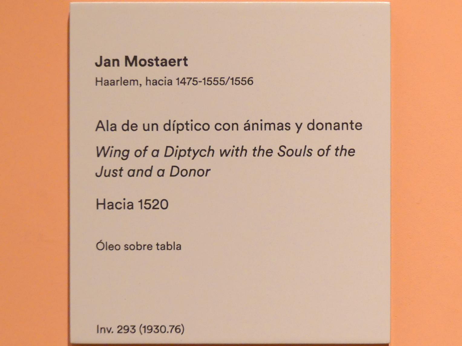 Flügel eines Diptychons mit den Armen Seelen und einer Stifterin, Madrid, Museo Thyssen-Bornemisza, Saal 10, niederländische Malerei des 16. Jahrhunderts, um 1520, Bild 2/2