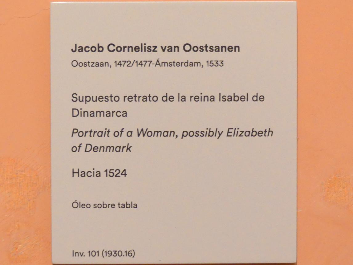 Jacob Cornelisz. van Oostsanen (1510–1524), Porträt einer Frau (Elisabeth von Dänemark ?), Madrid, Museo Thyssen-Bornemisza, Saal 10, niederländische Malerei des 16. Jahrhunderts, um 1524, Bild 2/2