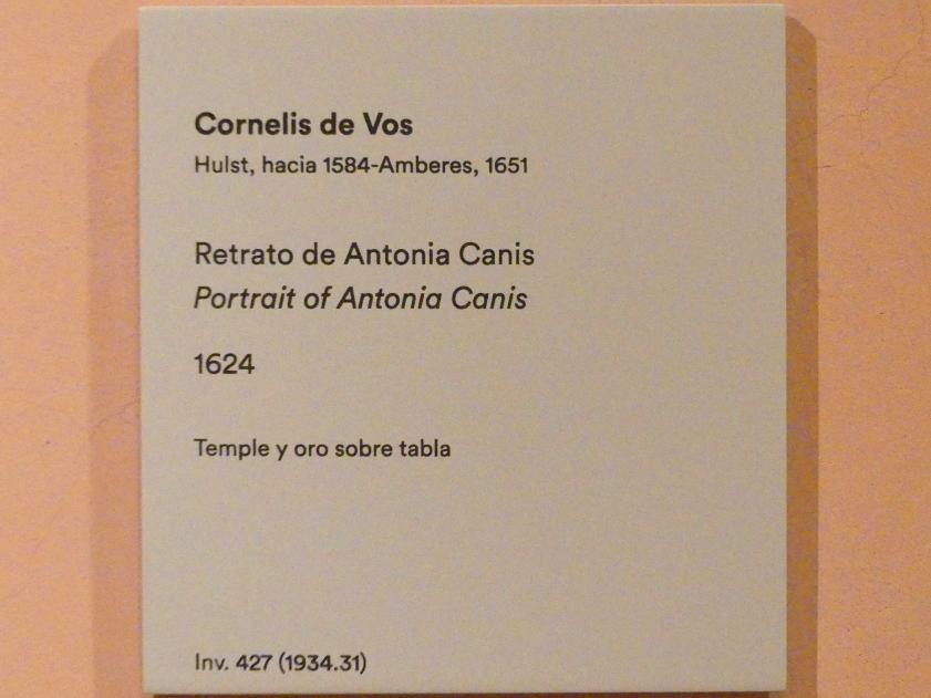Cornelis de Vos (1621–1633), Porträt von Antonia Canis, Madrid, Museo Thyssen-Bornemisza, Saal 19, flämische Malerei des 18. Jahrhunderts, 1624, Bild 2/2