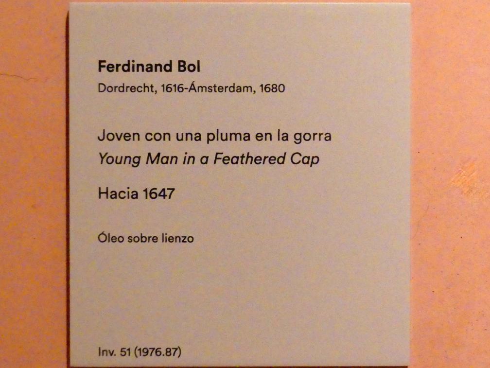 Ferdinand Bol (1643–1665), Junger Mann mit Federhut, Madrid, Museo Thyssen-Bornemisza, Saal 21, niederländische Malerei des 17. Jahrhunderts, um 1647, Bild 2/2