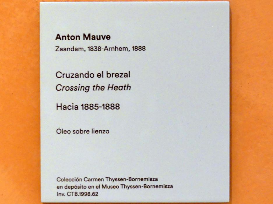 Anton Mauve (1882–1886), Heideweg, Madrid, Museo Thyssen-Bornemisza, Saal C, Galerie der Ansichten und Landschaften des 18. und 19. Jahrhunderts, um 1885–1888, Bild 2/2