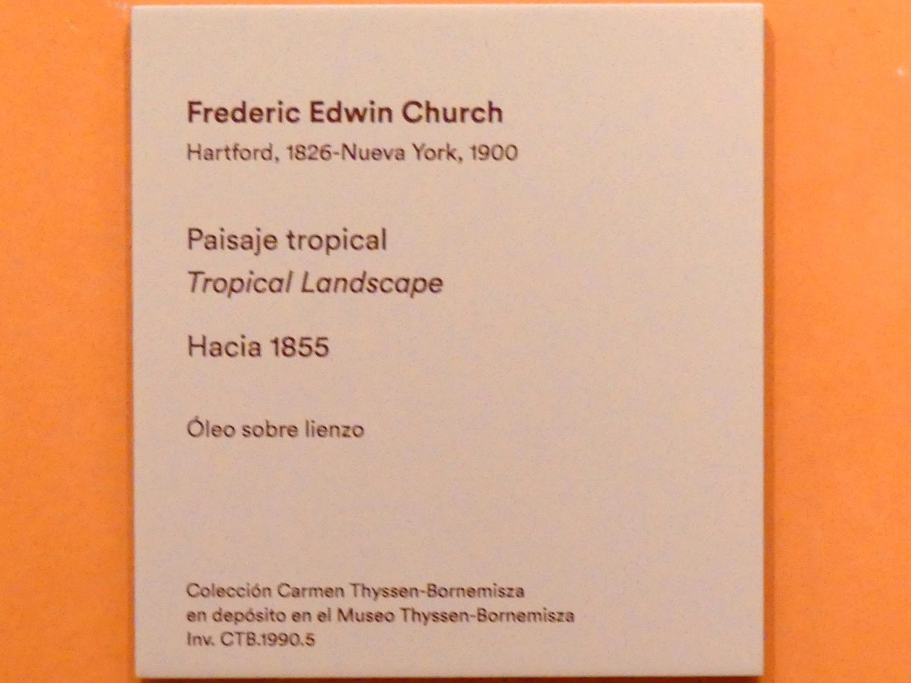 Frederic Edwin Church (1850–1877), Tropische Landschaft, Madrid, Museo Thyssen-Bornemisza, Saal E, nordamerikanische Malerei des 19. Jahrhunderts, um 1855, Bild 2/2
