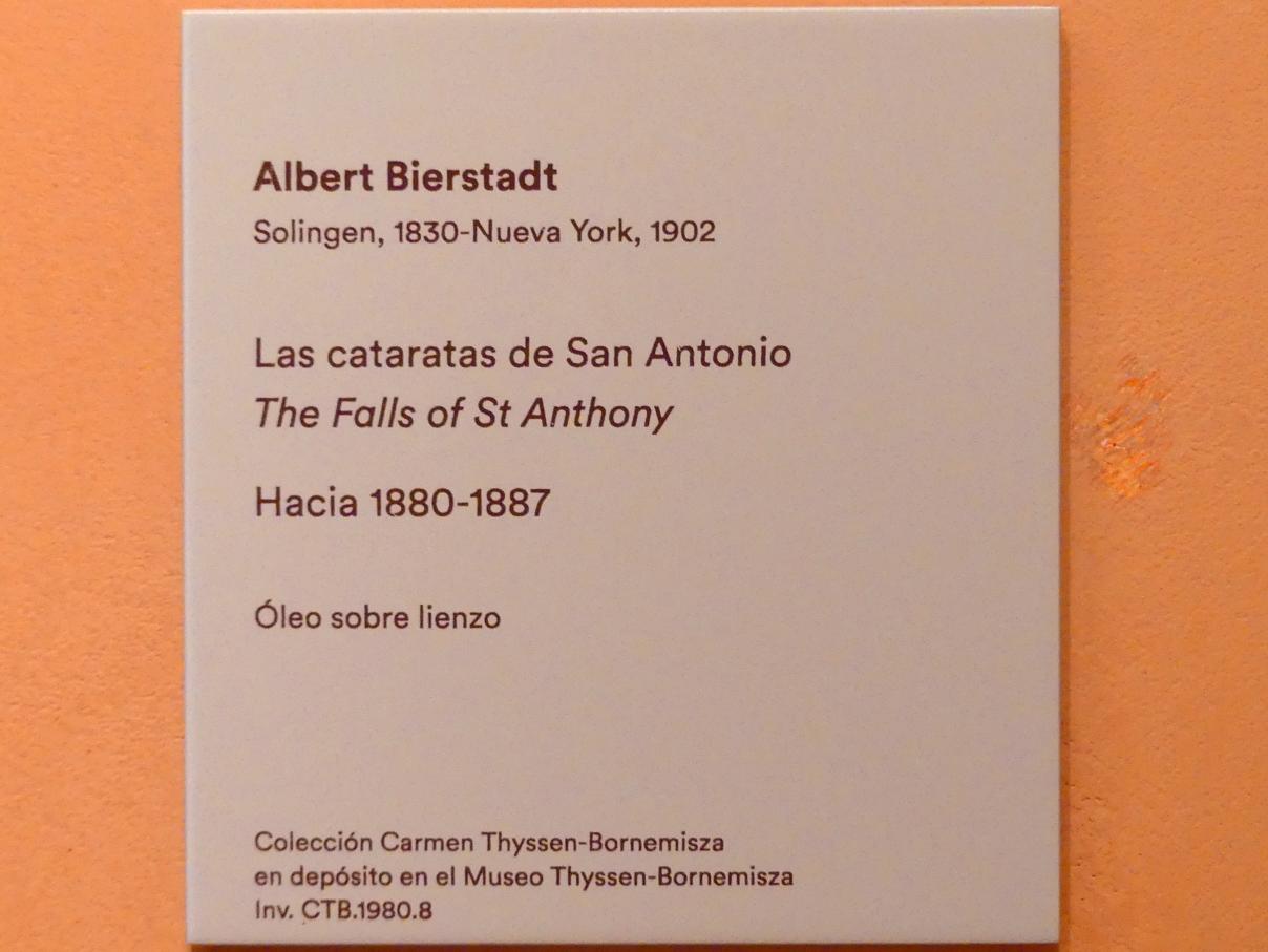 Albert Bierstadt (1859–1883), Die Wasserfälle von San Antonio, Madrid, Museo Thyssen-Bornemisza, Saal E, nordamerikanische Malerei des 19. Jahrhunderts, um 1880–1887, Bild 3/3