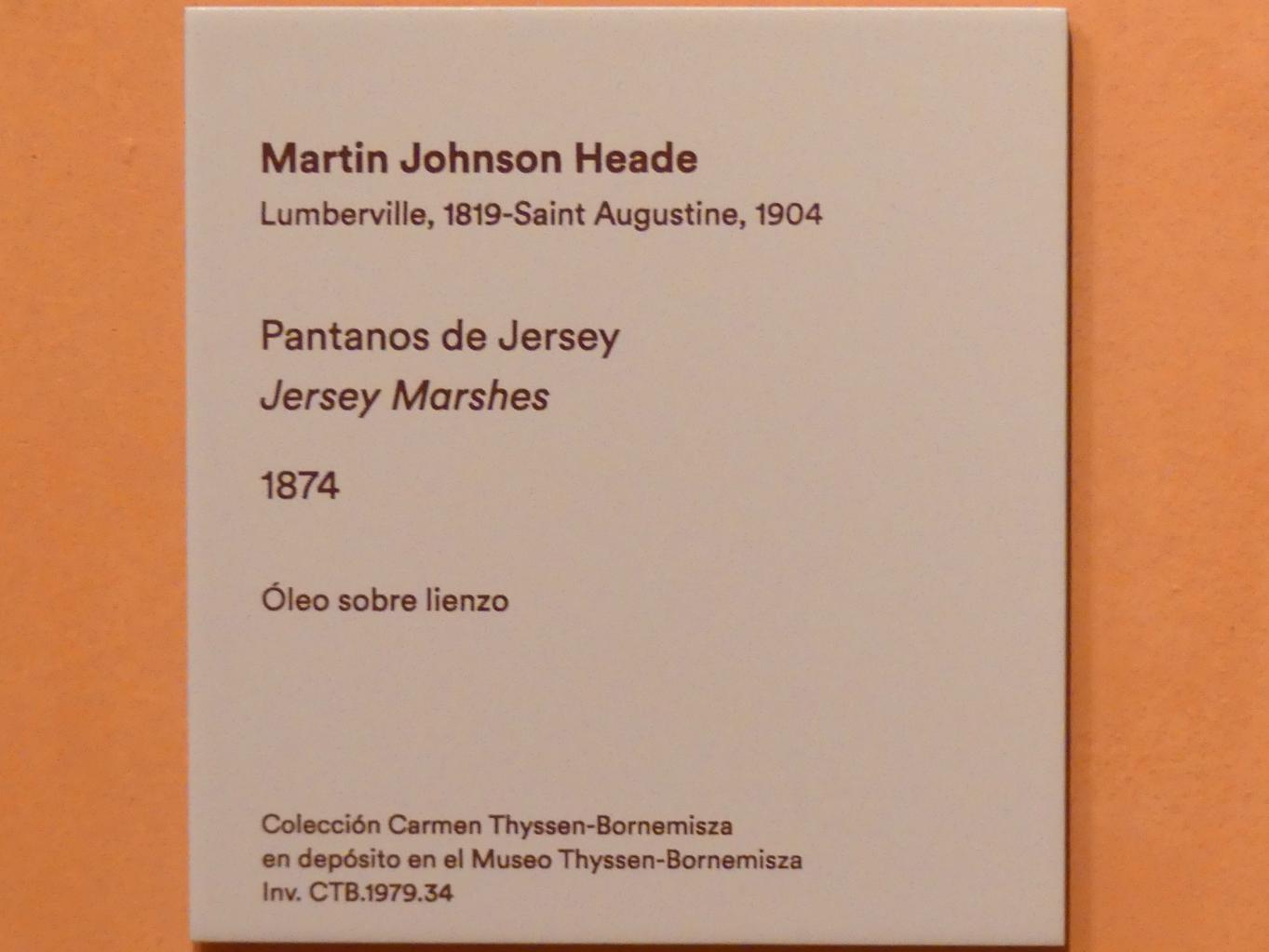 Martin Johnson Heade (1859–1902), Jersey Sümpfe, Madrid, Museo Thyssen-Bornemisza, Saal F, nordamerikanische Malerei des 19. Jahrhunderts, 1874, Bild 2/2