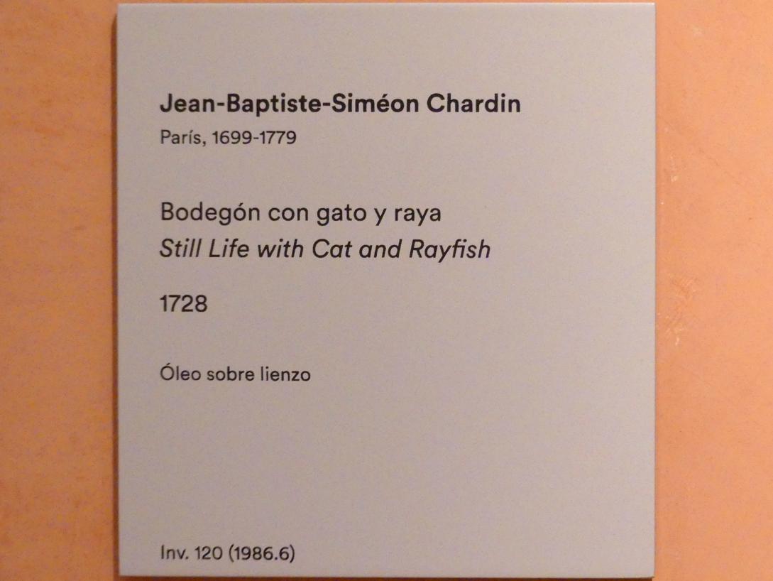 Jean Siméon Chardin (1725–1768), Stillleben mit Katze und Rochen, Madrid, Museo Thyssen-Bornemisza, Saal 28, französische und englische Malerei des 18. Jahrhunderts, 1728, Bild 2/2