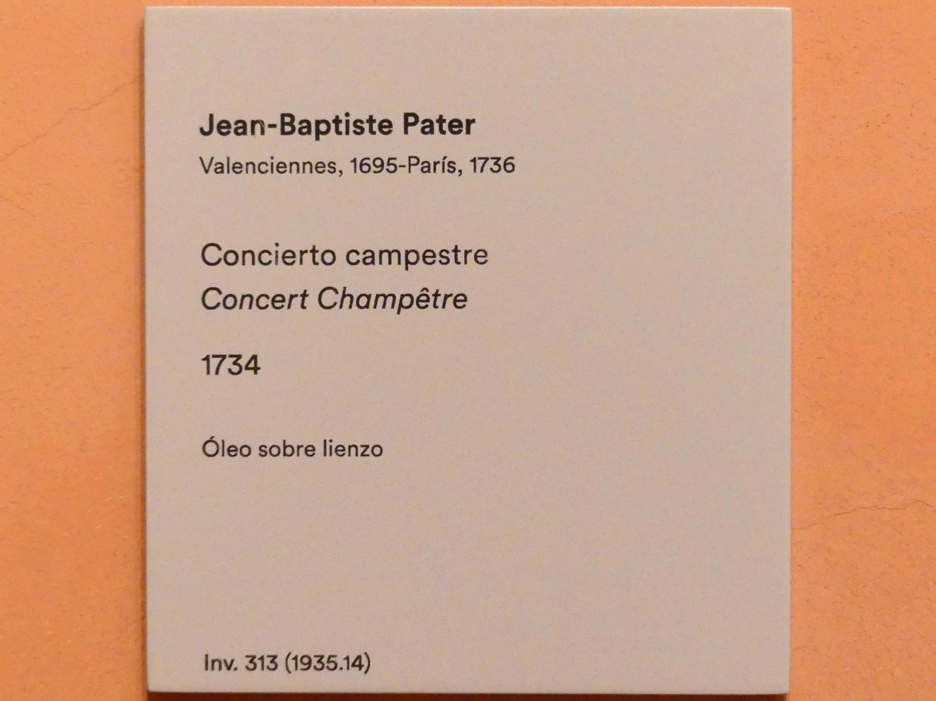 Jean-Baptiste Pater (1730–1736), Ländliches Konzert, Madrid, Museo Thyssen-Bornemisza, Saal 28, französische und englische Malerei des 18. Jahrhunderts, 1734, Bild 2/2