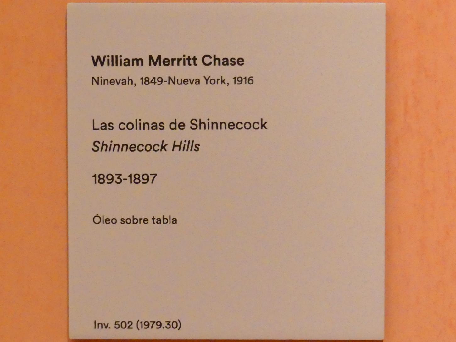 William Merritt Chase (1872–1896), Shinnecock Hills, Madrid, Museo Thyssen-Bornemisza, Saal 30, nordamerikanische Malerei des 19. Jahrhunderts, 1893–1897, Bild 2/2