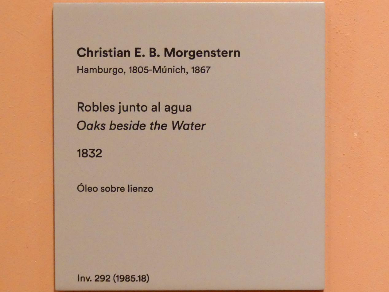 Christian Ernst Bernhard Morgenstern (1832–1851), Eichen am Wasser, Madrid, Museo Thyssen-Bornemisza, Saal 31, europäische Malerei des 19. Jahrhunderts, 1832, Bild 2/2