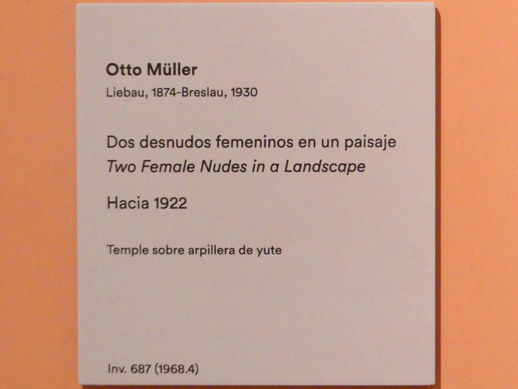 Otto Mueller (1914–1928), Zwei weibliche Akte in einer Landschaft, Madrid, Museo Thyssen-Bornemisza, Saal 36. europäische Malerei der ersten Hälfte des 20. Jahrhunderts, um 1922, Bild 2/2