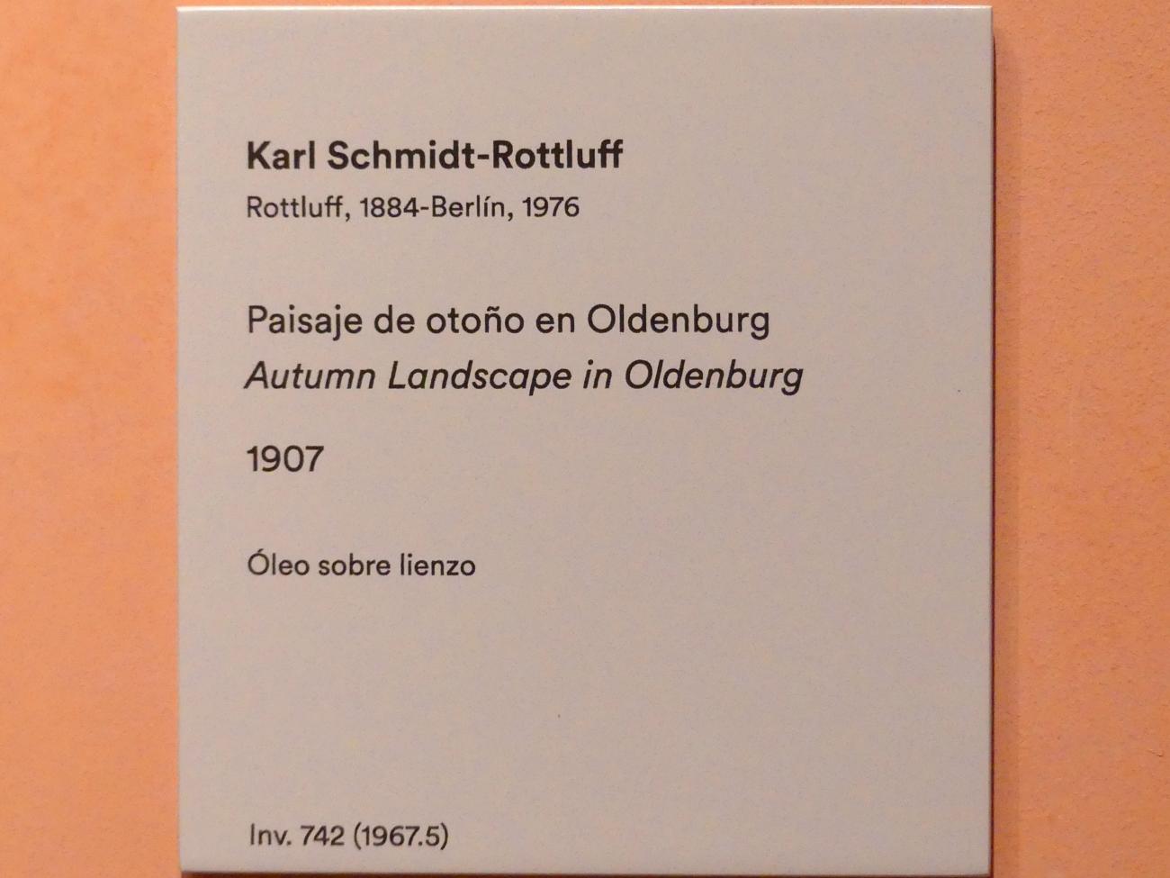 Karl Schmidt-Rottluff (1907–1937), Herbstlandschaft in Oldenburg, Madrid, Museo Thyssen-Bornemisza, Saal 37. europäische Malerei der ersten Hälfte des 20. Jahrhunderts, 1907, Bild 2/2