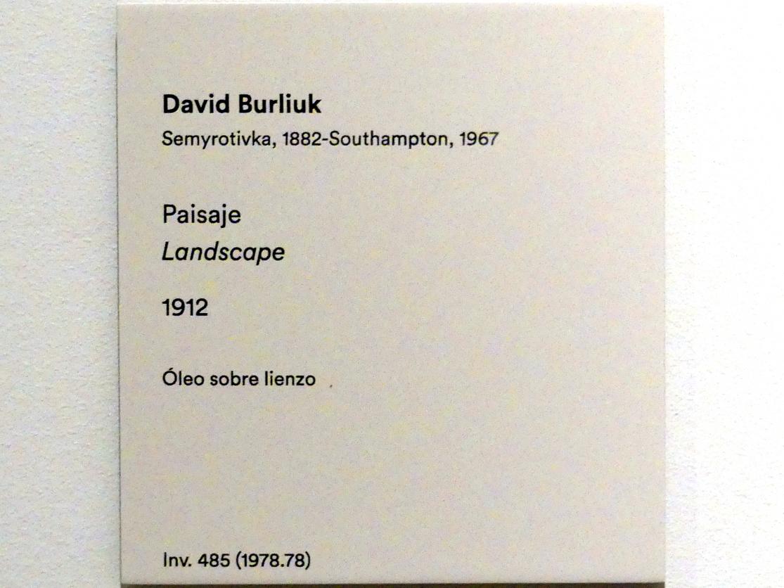 Dawid Dawidowitsch Burljuk (1912), Landschaft, Madrid, Museo Thyssen-Bornemisza, Saal 38. europäische Malerei der ersten Hälfte des 20. Jahrhunderts, 1912, Bild 2/2