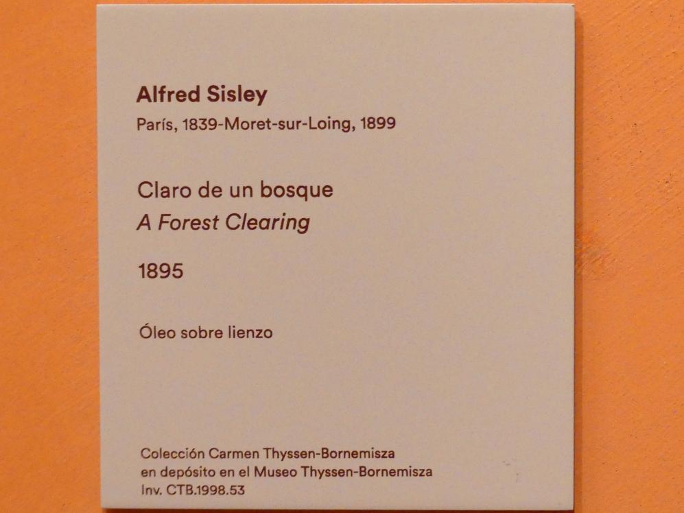 Alfred Sisley (1872–1896), Waldlichtung, Madrid, Museo Thyssen-Bornemisza, Saal K, europäische Malerei des 19.Jahrhunderts, 1895, Bild 2/2