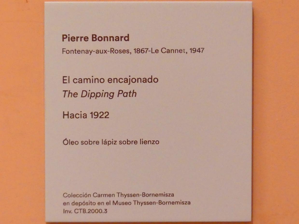 Pierre Bonnard (1893–1943), Versunkener Pfad, Madrid, Museo Thyssen-Bornemisza, Saal L, europäische Malerei des 19.Jahrhunderts, 1922, Bild 2/2