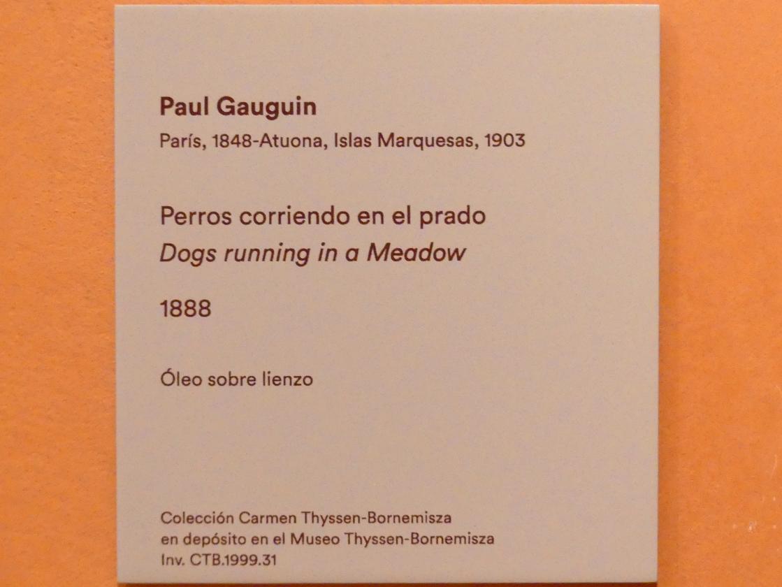 Paul Gauguin (1875–1902), Hunde rennen auf einer Wiese, Madrid, Museo Thyssen-Bornemisza, Saal L, europäische Malerei des 19.Jahrhunderts, 1888, Bild 2/2