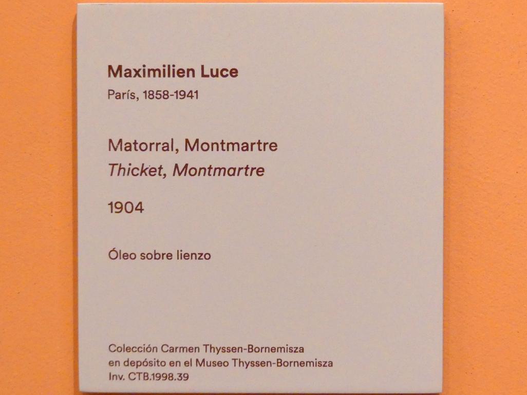 Maximilien Luce (1887–1930), Buschwerk, Montmartre, Madrid, Museo Thyssen-Bornemisza, Saal M, europäische Malerei des 19.Jahrhunderts, 1904, Bild 2/2