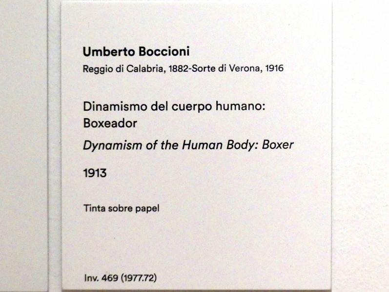 Umberto Boccioni (1910–1914), Dynamisierung des menschlichen Körpers: Boxer, Madrid, Museo Thyssen-Bornemisza, Saal 42, europäische Malerei der ersten Hälfte des 20. Jahrhunderts, 1913, Bild 3/4