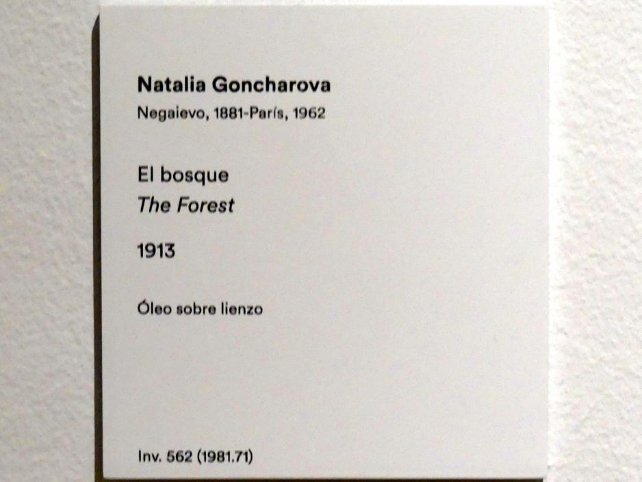Natalija Sergejewna Gontscharowa (1908–1954), Der Wald, Madrid, Museo Thyssen-Bornemisza, Saal 43, Pioniere der Abstraktion, 1913, Bild 2/2