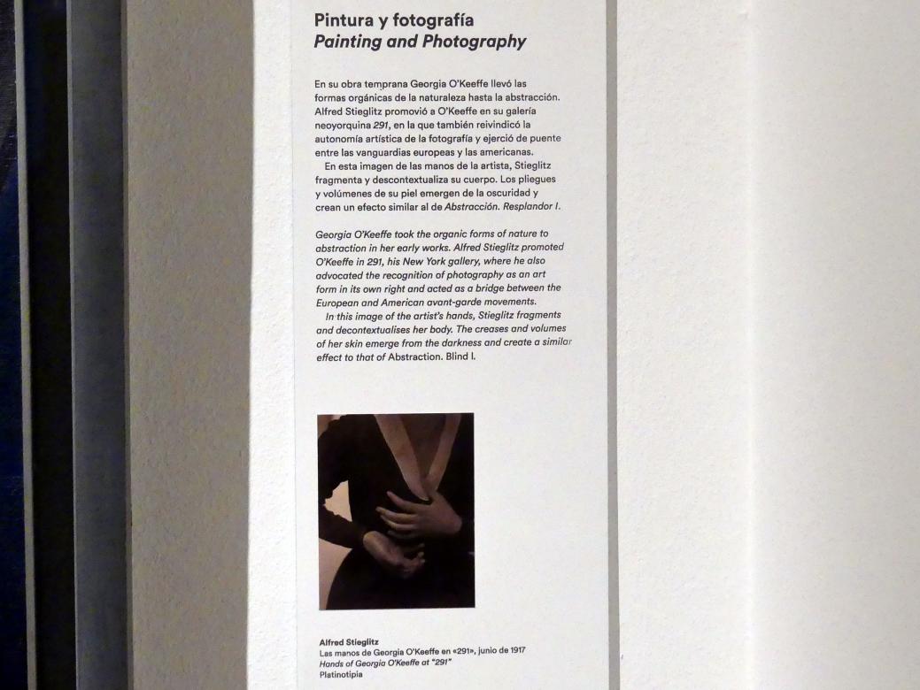 Georgia O’Keeffe (1918–1937), Abstraction. Blind I, Madrid, Museo Thyssen-Bornemisza, Saal 46, nordamerikanische Malerei des 20. Jahrhunderts, 1921, Bild 3/3