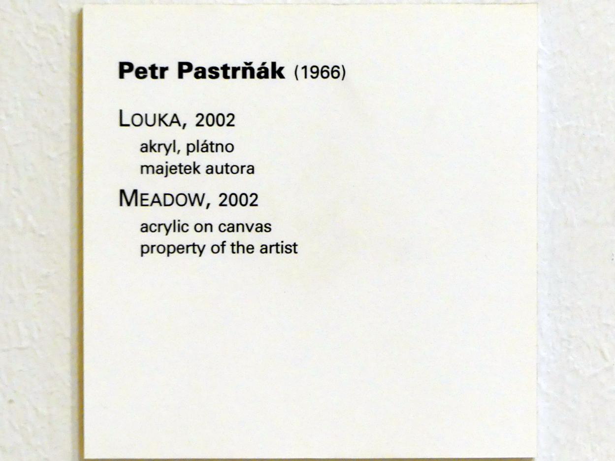 Petr Pastrňák (2002), Wiese, Prag, Nationalgalerie im Messepalast, Moderne Kunst, 2002, Bild 2/2