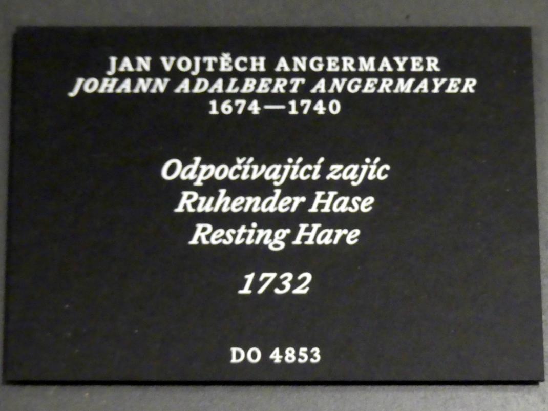 Johann Adalbert Angermayer (1708–1735), Ruhender Hase, Prag, Nationalgalerie im Palais Schwarzenberg, 1. Obergeschoss, Saal 4, 1732, Bild 2/2