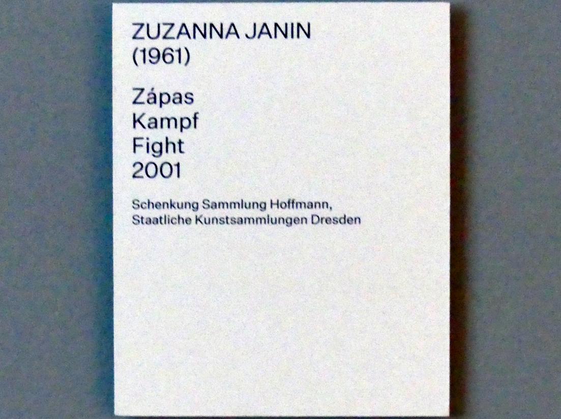 Zuzanna Janin (2001–2008), Kampf, Prag, Nationalgalerie im Salm-Palast, Ausstellung "Möglichkeiten des Dialogs" vom 02.12.2018-01.12.2019, Saal 27, 2001, Bild 2/2