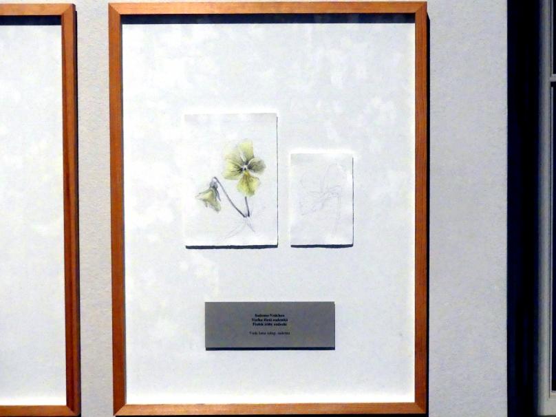 Zdena Kolečková (2008), Dreifache Identität, Prag, Nationalgalerie im Salm-Palast, Ausstellung "Möglichkeiten des Dialogs" vom 02.12.2018-01.12.2019, Saal 9, 2008, Bild 2/5