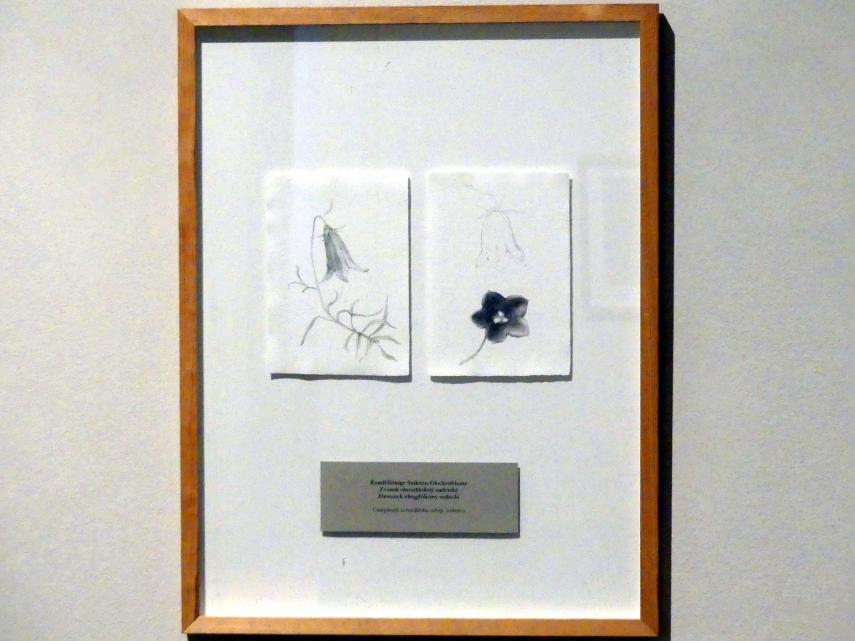 Zdena Kolečková (2008), Dreifache Identität, Prag, Nationalgalerie im Salm-Palast, Ausstellung "Möglichkeiten des Dialogs" vom 02.12.2018-01.12.2019, Saal 9, 2008, Bild 3/5
