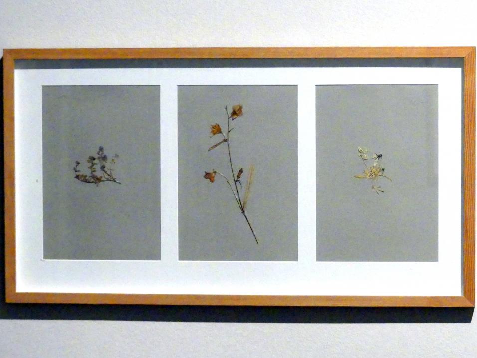 Zdena Kolečková (2008), Dreifache Identität, Prag, Nationalgalerie im Salm-Palast, Ausstellung "Möglichkeiten des Dialogs" vom 02.12.2018-01.12.2019, Saal 9, 2008, Bild 4/5