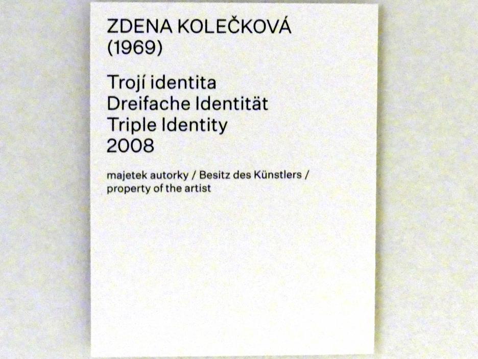 Zdena Kolečková (2008), Dreifache Identität, Prag, Nationalgalerie im Salm-Palast, Ausstellung "Möglichkeiten des Dialogs" vom 02.12.2018-01.12.2019, Saal 9, 2008, Bild 5/5