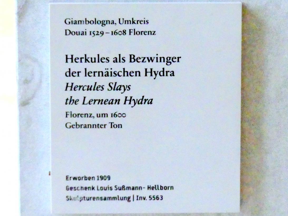 Giovanni da Bologna (Giambologna) (Umkreis) (1600), Herkules als Bezwinger der lernäischen Hydra, Berlin, Bode-Museum, Saal 124, um 1600, Bild 3/3