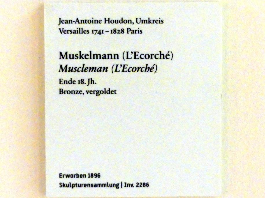 Jean-Antoine Houdon (Werkstatt) (1777–1795), Muskelmann (L'Ecorché), Berlin, Bode-Museum, Saal 256, Ende 18. Jhd., Bild 2/2