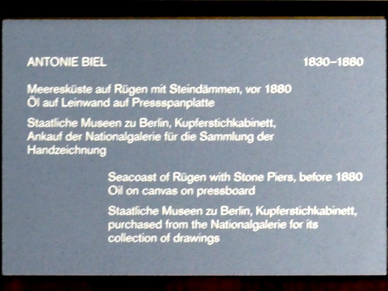 Antonie Biel (1879), Meeresküste auf Rügen mit Steindämmen, Berlin, Alte Nationalgalerie, Saal 307, Künstlerinnen der Nationalgalerie vor 1919, vor 1880, Bild 2/2