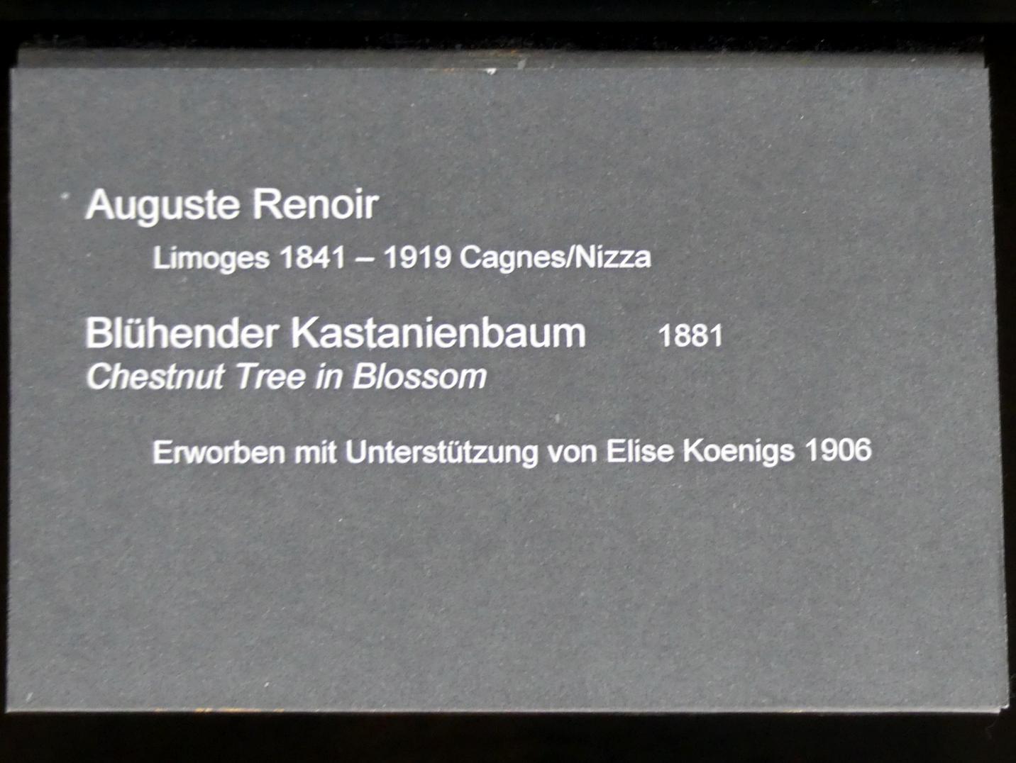 Auguste Renoir (Pierre-Auguste Renoir) (1866–1918), Blühender Kastanienbaum, Berlin, Alte Nationalgalerie, Saal 203, Französische Impressionisten, 1881, Bild 2/2