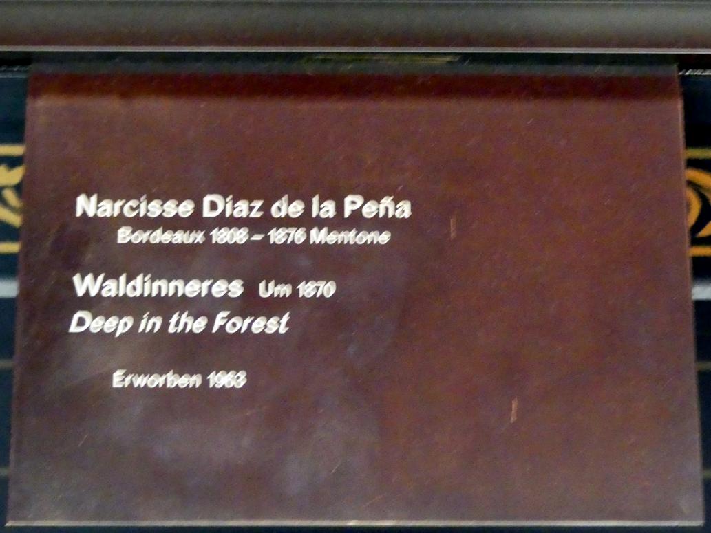 Narcisso Virgilio Díaz de la Peña (1840–1871), Waldinneres, Berlin, Alte Nationalgalerie, Saal 103, Realismus zwischen Constable und Courbet, um 1870, Bild 2/2