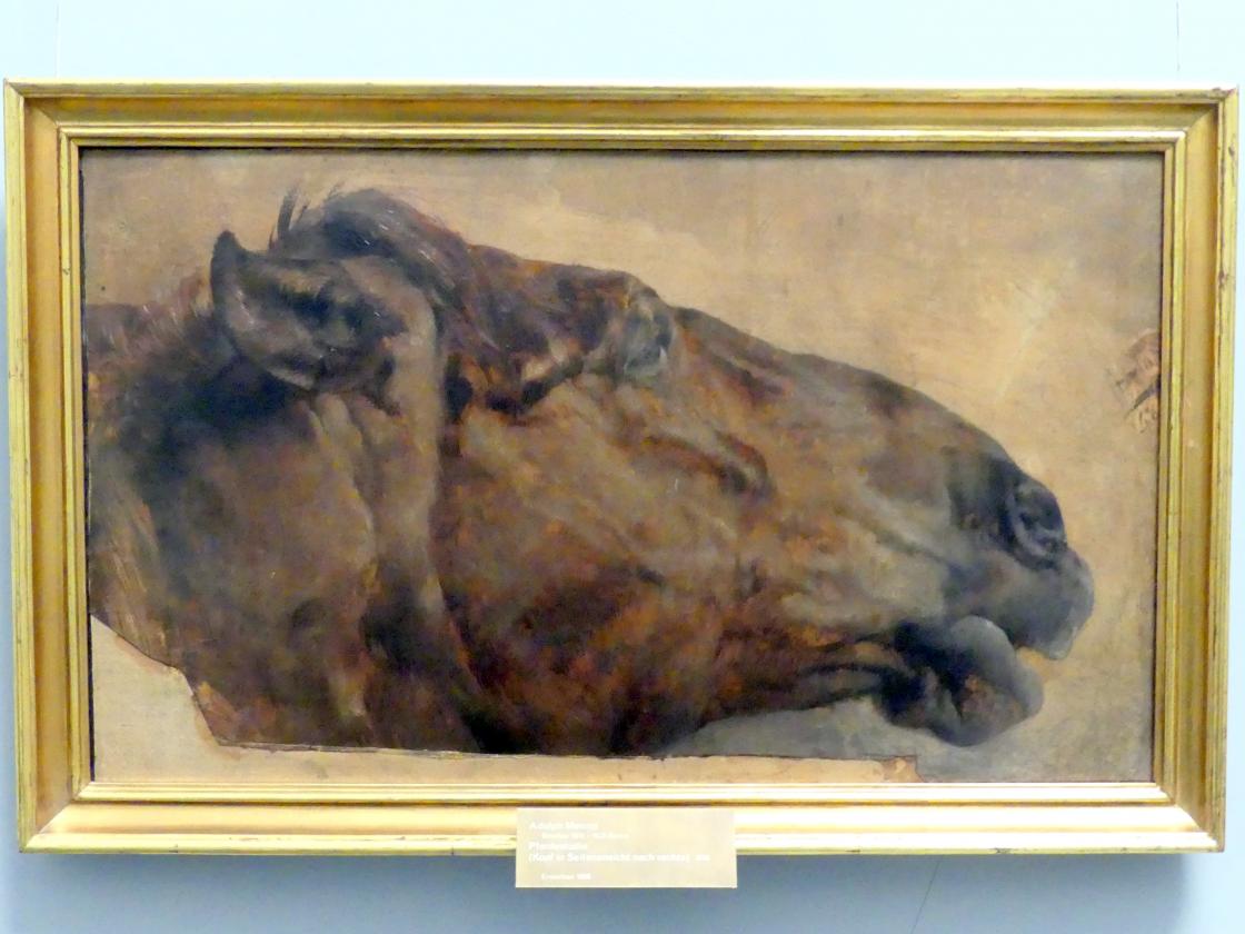 Adolph von Menzel (1844–1888): Pferdestudie (Kopf in Seitenansicht nach rechts), 1848