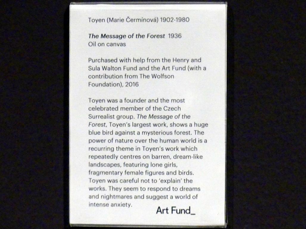 Toyen (Marie Čermínová) (1922–1965), Botschaft des Waldes, Edinburgh, Scottish National Gallery of Modern Art, Gebäude One, Saal 20: jenseits des Realismus - Dada und Surrealismus, 1936, Bild 2/2