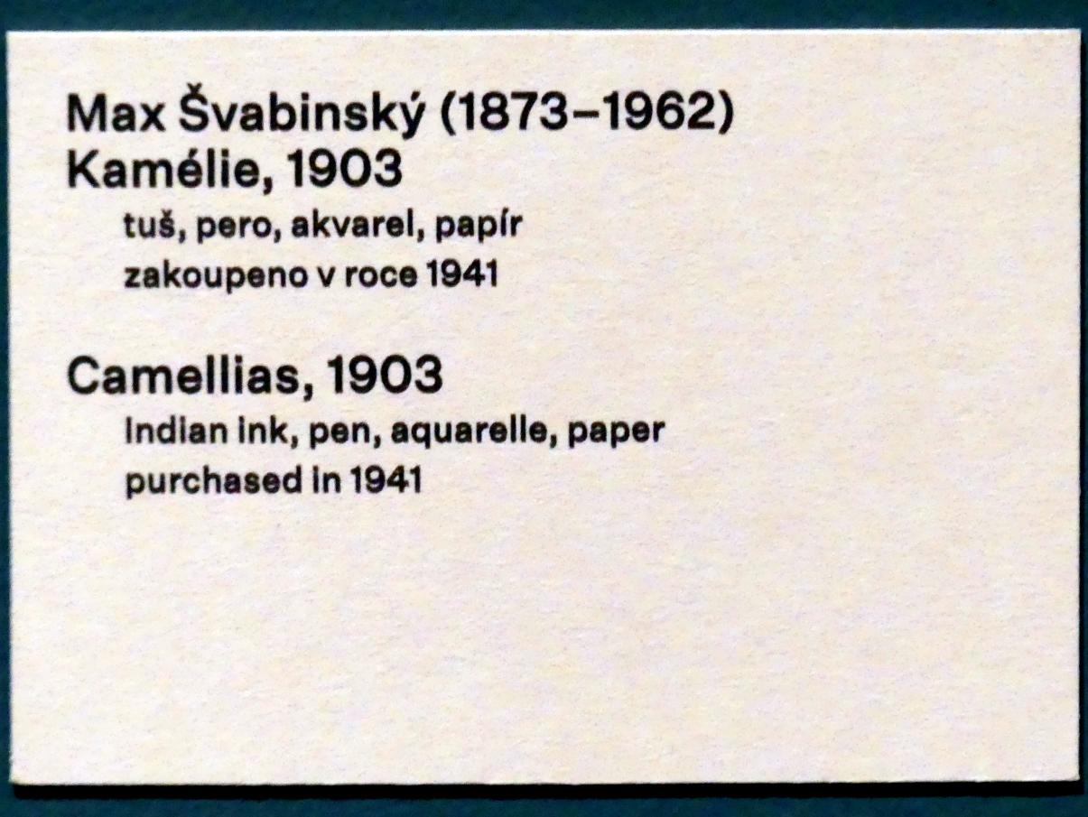 Max Švabinský (1896–1922), Kamelien, Prag, Nationalgalerie im Messepalast, 1918-1939, Saal 1, 1903, Bild 3/3