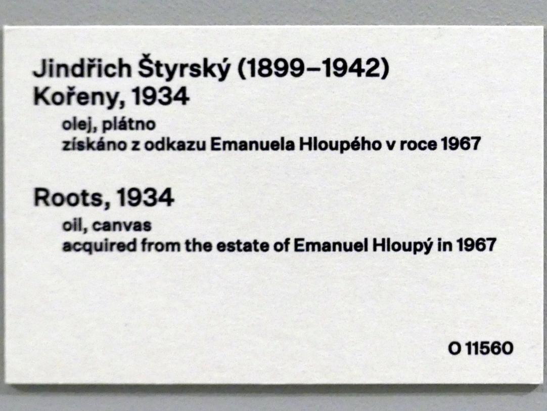 Jindřich Štyrský (1921–1939), Wurzeln, Prag, Nationalgalerie im Messepalast, 1918-1939, Saal 8, 1934, Bild 2/2
