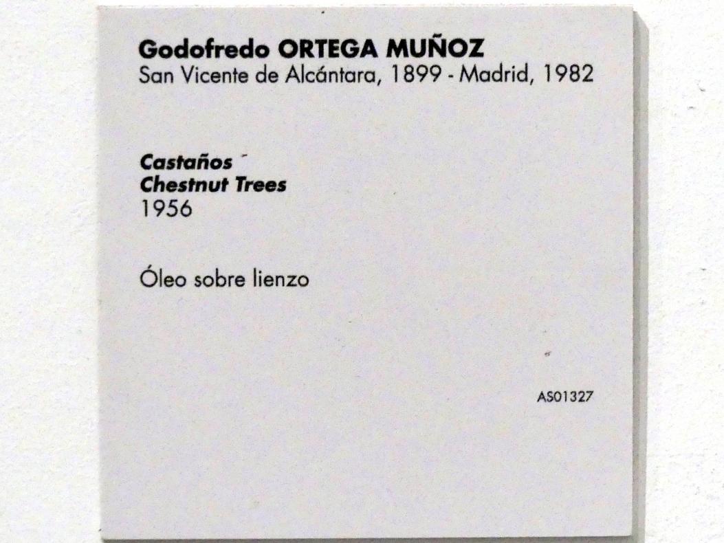 Godofredo Ortega Muñoz (1956), Kastanienbäume, Madrid, Museo Reina Sofía, Saal 413, 1956, Bild 2/2