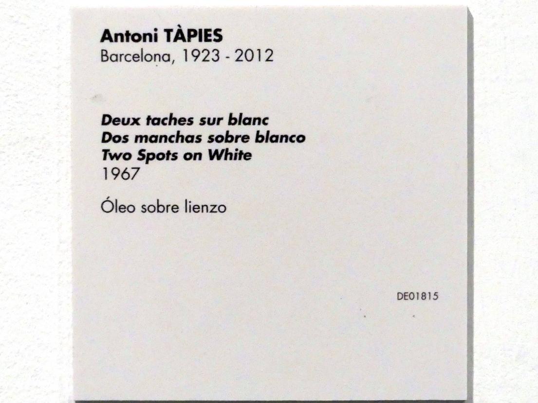 Antoni Tàpies (1946–1976), Zwei Kleckse auf Weiß, Madrid, Museo Reina Sofía, Saal 417, 1967, Bild 2/2