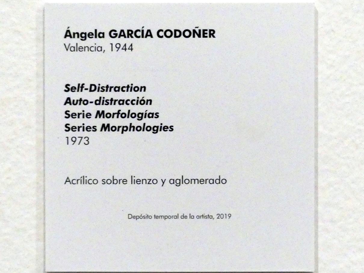Ángela García Codoñer (1973–1977), Selbstablenkung, Madrid, Museo Reina Sofía, Saal 428, 1973, Bild 2/2