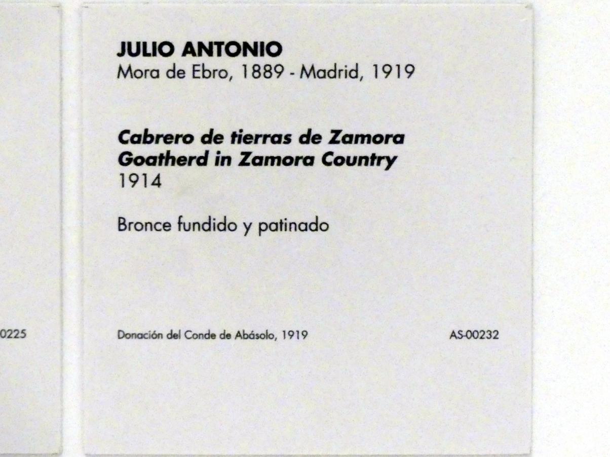 Julio Antonio (1908–1914), Ziegenhirte aus Zamora, Madrid, Museo Reina Sofía, Saal 201.02, 1914, Bild 3/3