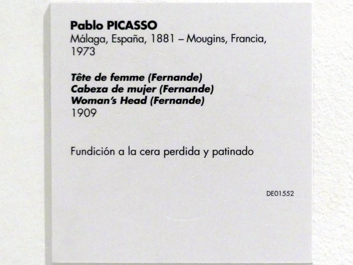 Pablo Picasso (1897–1972), Frauenkopf (Fernande), Madrid, Museo Reina Sofía, Saal 210, 1909, Bild 5/5