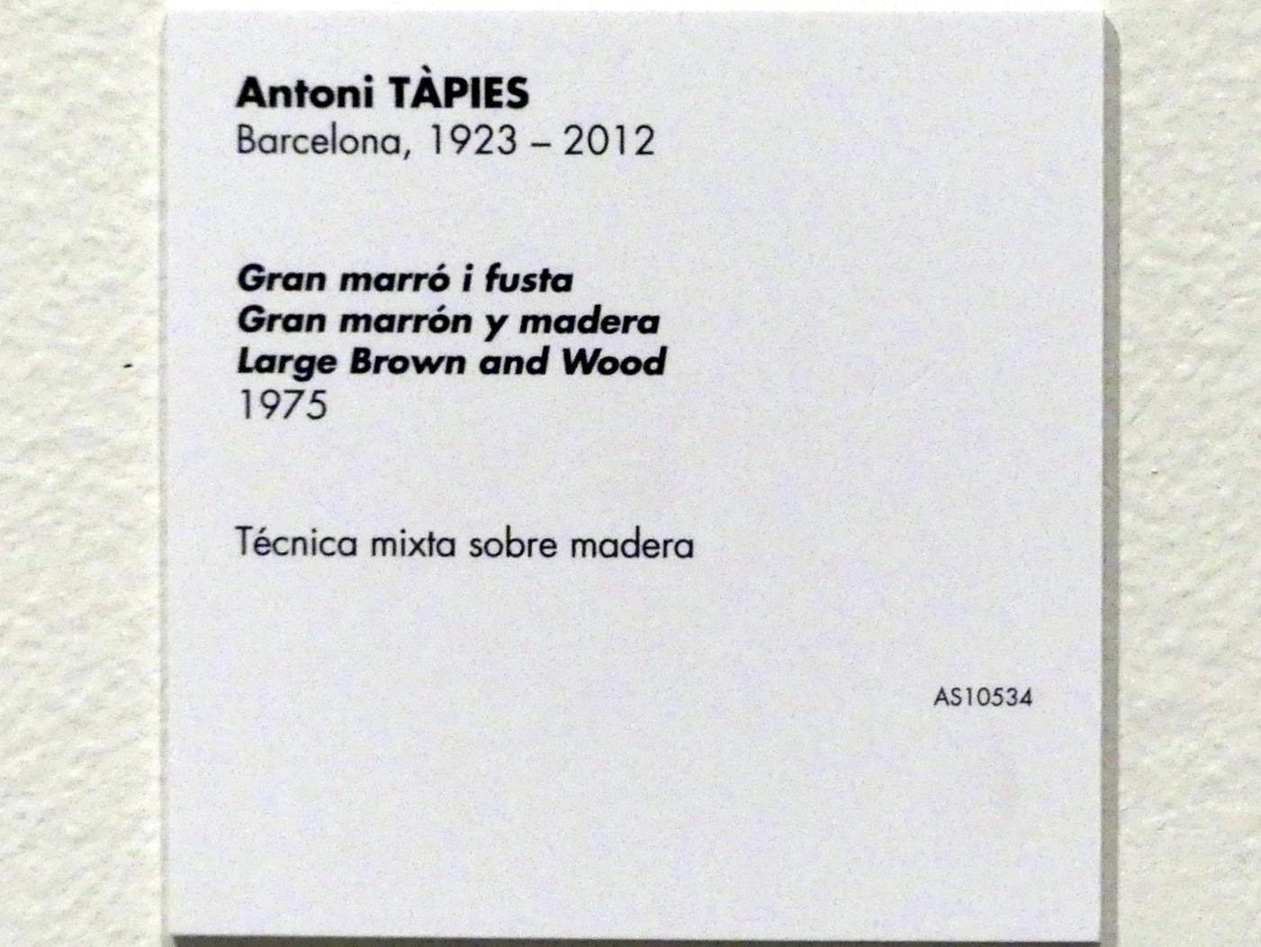 Antoni Tàpies (1946–1976), Großes Braun und Holz, Madrid, Museo Reina Sofía, Saal 001.01, 1975, Bild 2/2