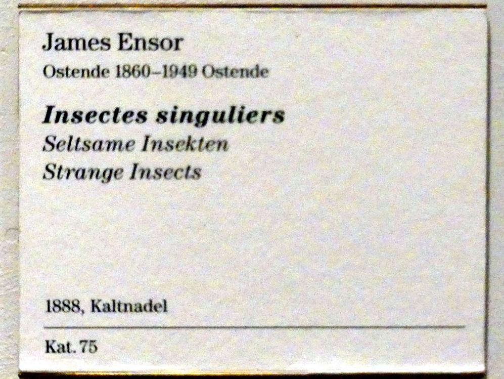 James Ensor (1880–1925), Seltsame Insekten, Berlin, Sammlung Scharf-Gerstenberg, Erdgeschoß, Saal 3, 1888, Bild 3/3
