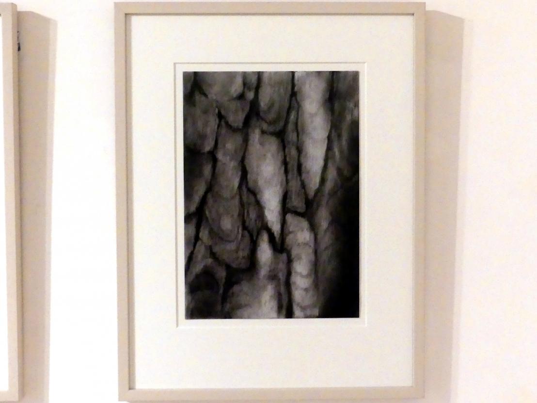 Andrea Zaumseil (2014), Aus der Serie "Weit fort", Schwäbisch Hall, Kunsthalle Würth, Ausstellung "Lust auf mehr" vom 30.09.2019 - 20.09.2020, Obergeschoss, 2014, Bild 3/8