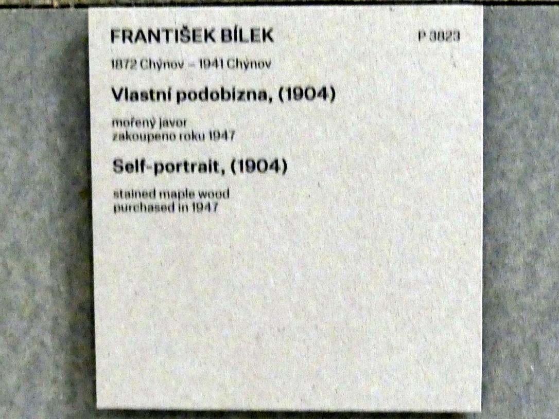 František Bílek (1897–1914), Selbstporträt, Prag, Nationalgalerie im Messepalast, Das lange Jahrhundert, Saal 1, 1904, Bild 3/3