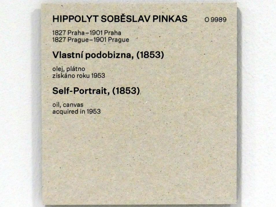 Soběslav Pinkas (1853–1863), Selbstporträt, Prag, Nationalgalerie im Messepalast, Das lange Jahrhundert, Saal 1, 1853, Bild 2/2