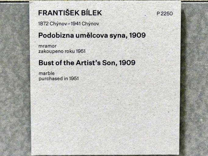 František Bílek (1897–1914), Büste des Künstlers Sohn, Prag, Nationalgalerie im Messepalast, Das lange Jahrhundert, Saal 3, 1909, Bild 3/3