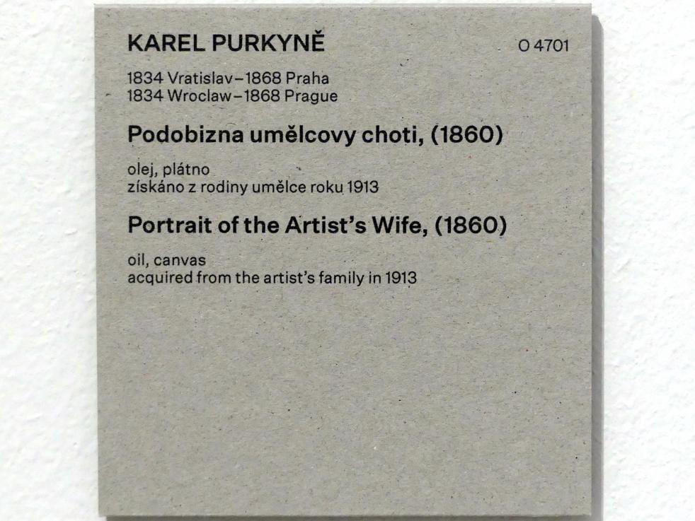Karel Purkyně (1856–1861), Bildnis der Frau des Künstlers, Prag, Nationalgalerie im Messepalast, Das lange Jahrhundert, Saal 4, 1860, Bild 2/2